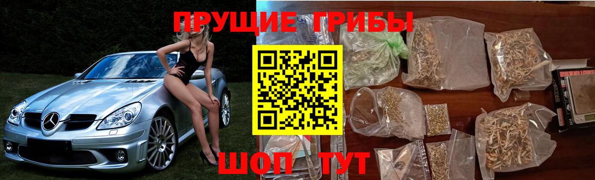 Псилоцибиновые грибы ЛСД  Вход с VPN  Вязники 